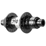 dt4678.jpg