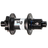 dt4704.jpg