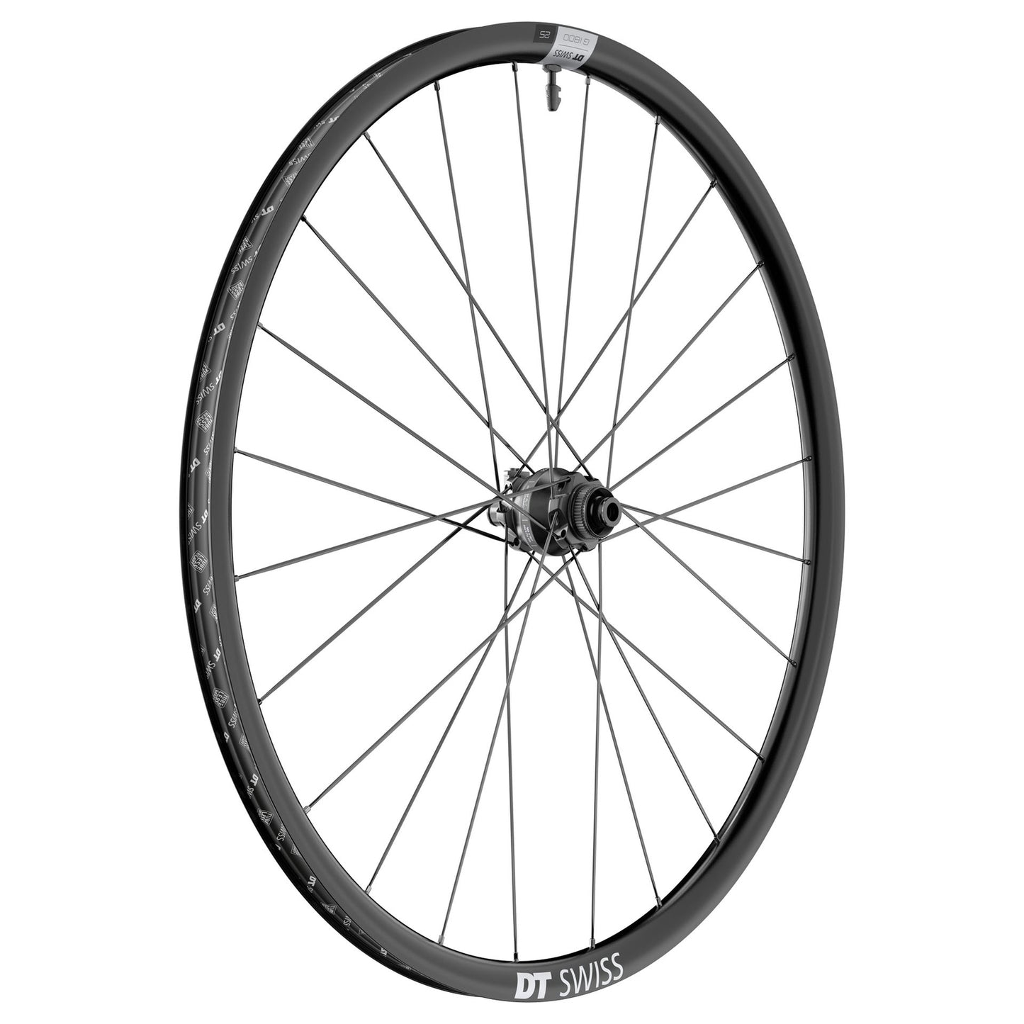 dt2666.jpg