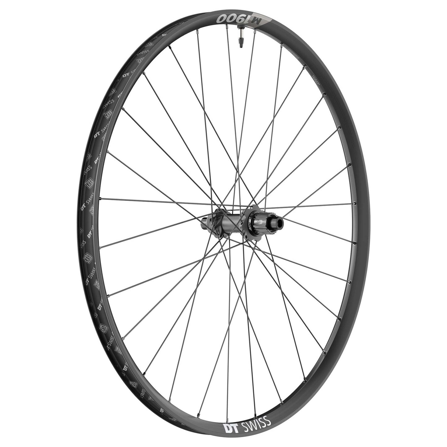 DT3417.jpg