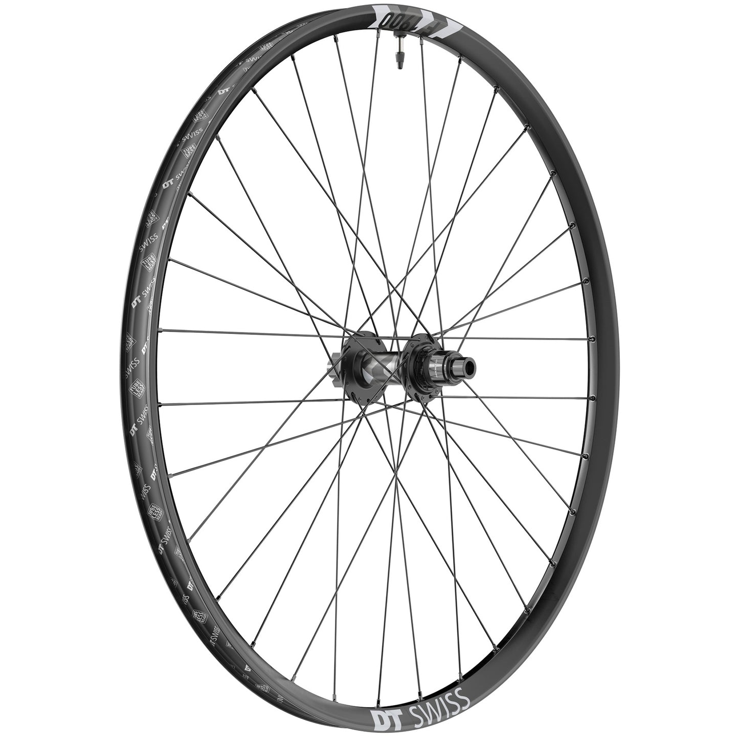DT3399.jpg