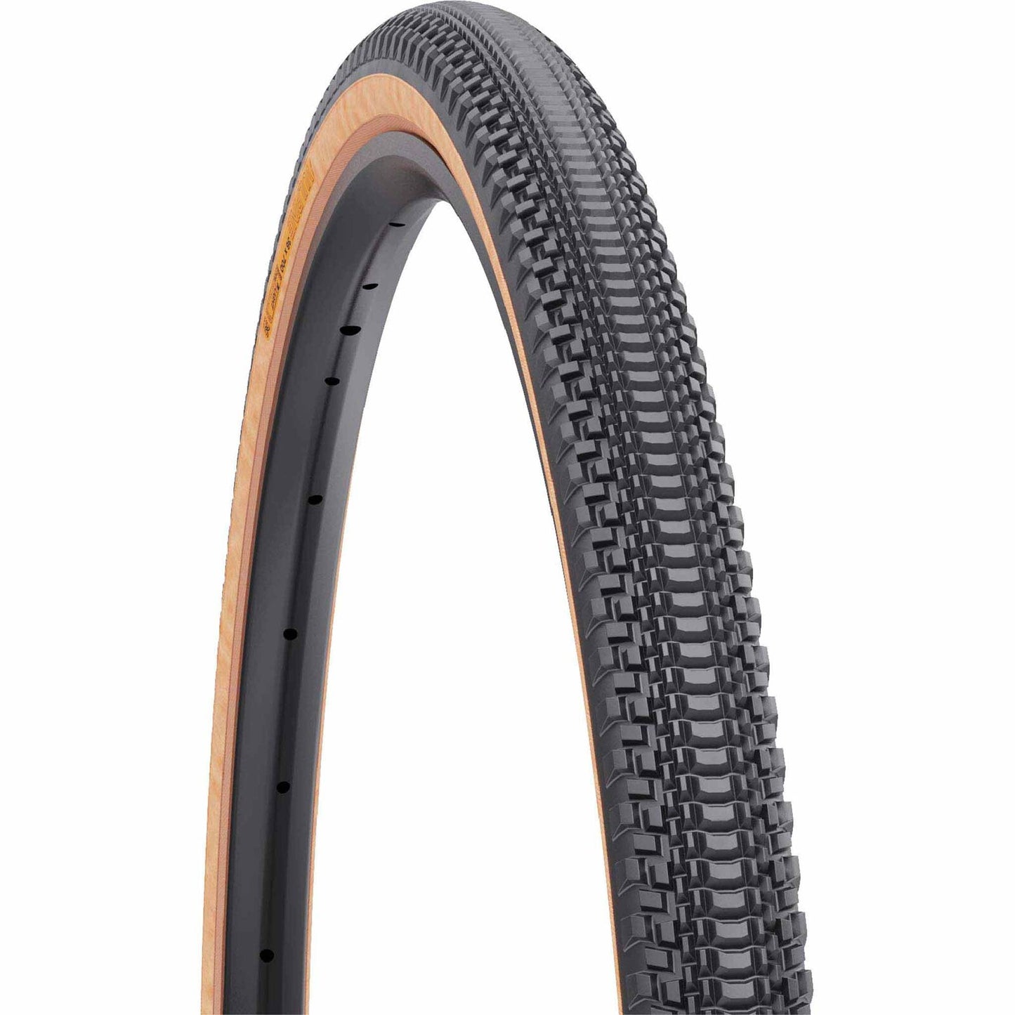 WT1317.jpg