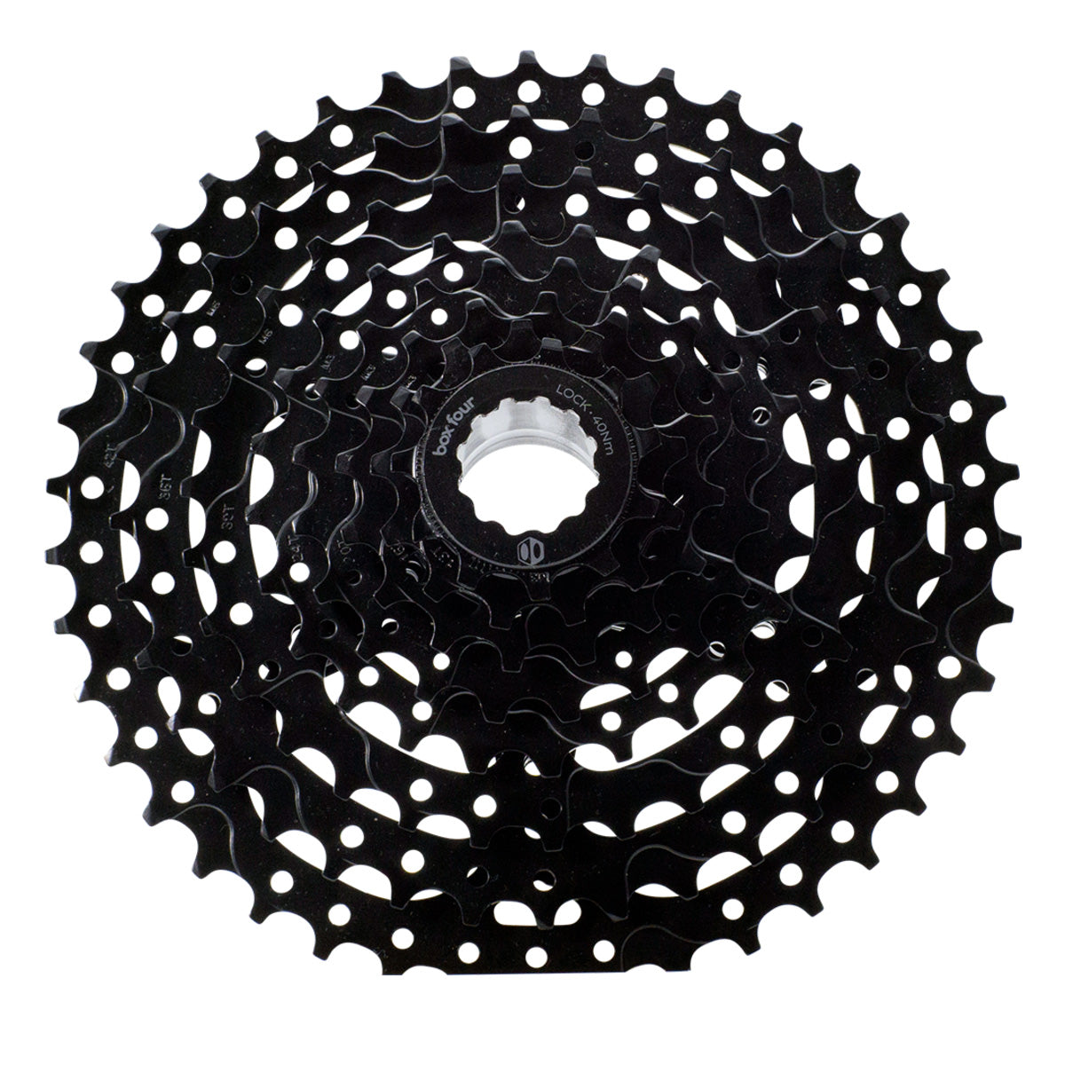 bx5364.jpg