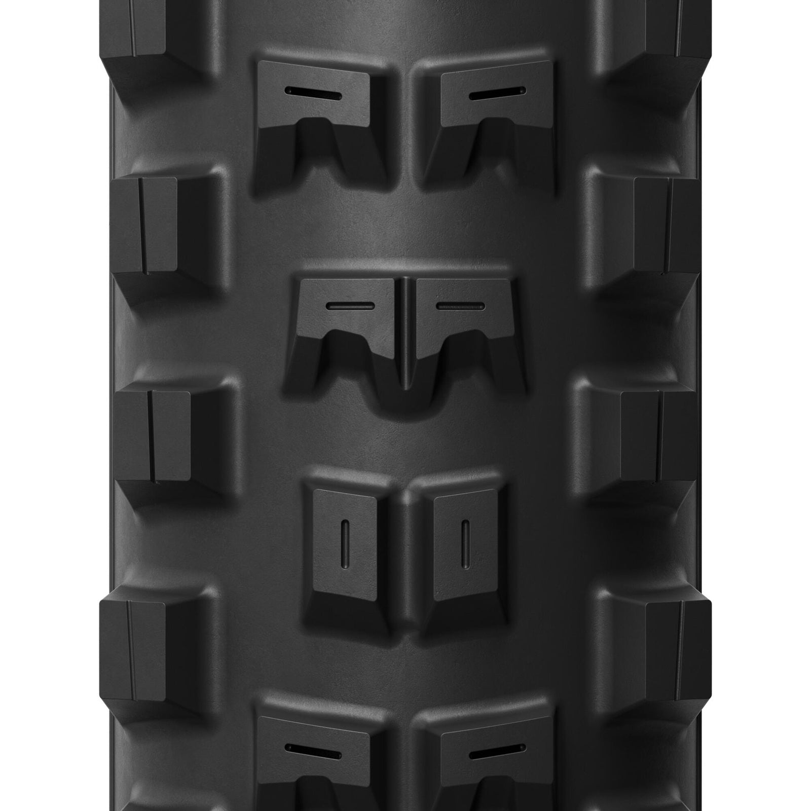 ml4004_inset_03.jpg