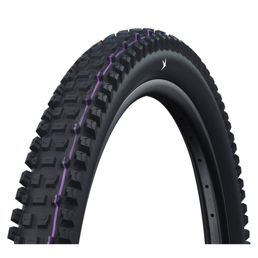 Schwalbe Albert