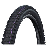 Schwalbe Albert