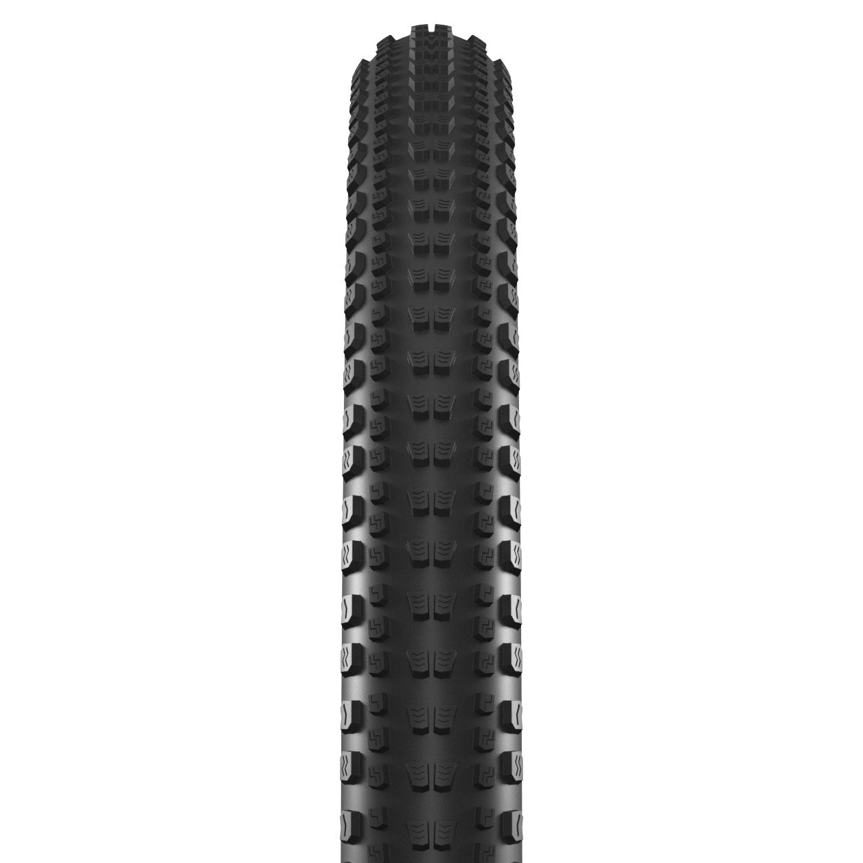 gy2050b.jpg