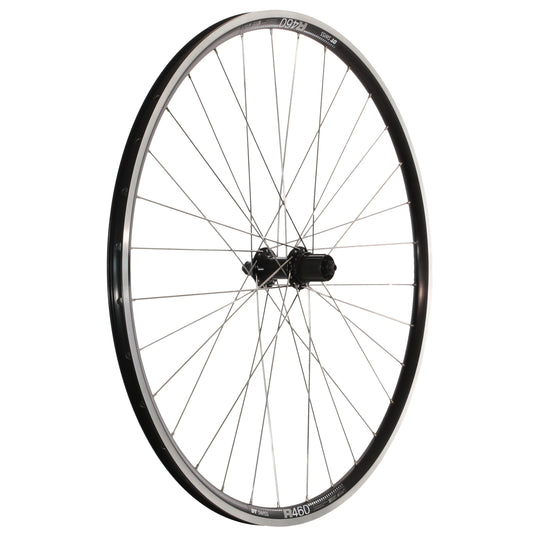 wy7011.jpg