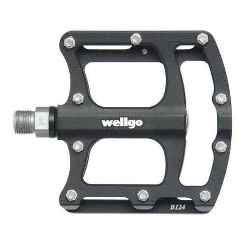 we3431.jpg