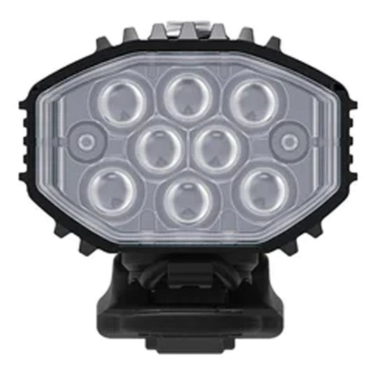 LZ0430inset2.jpg