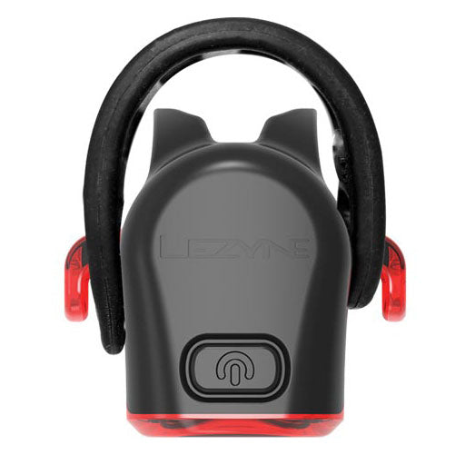 lz04353inset3.jpg