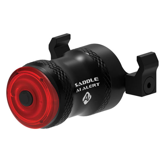 lz0427inset1.jpg