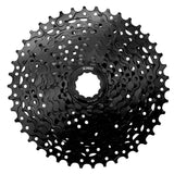 km6304.jpg