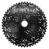 KM6302.jpg