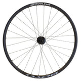 yd4302.jpg