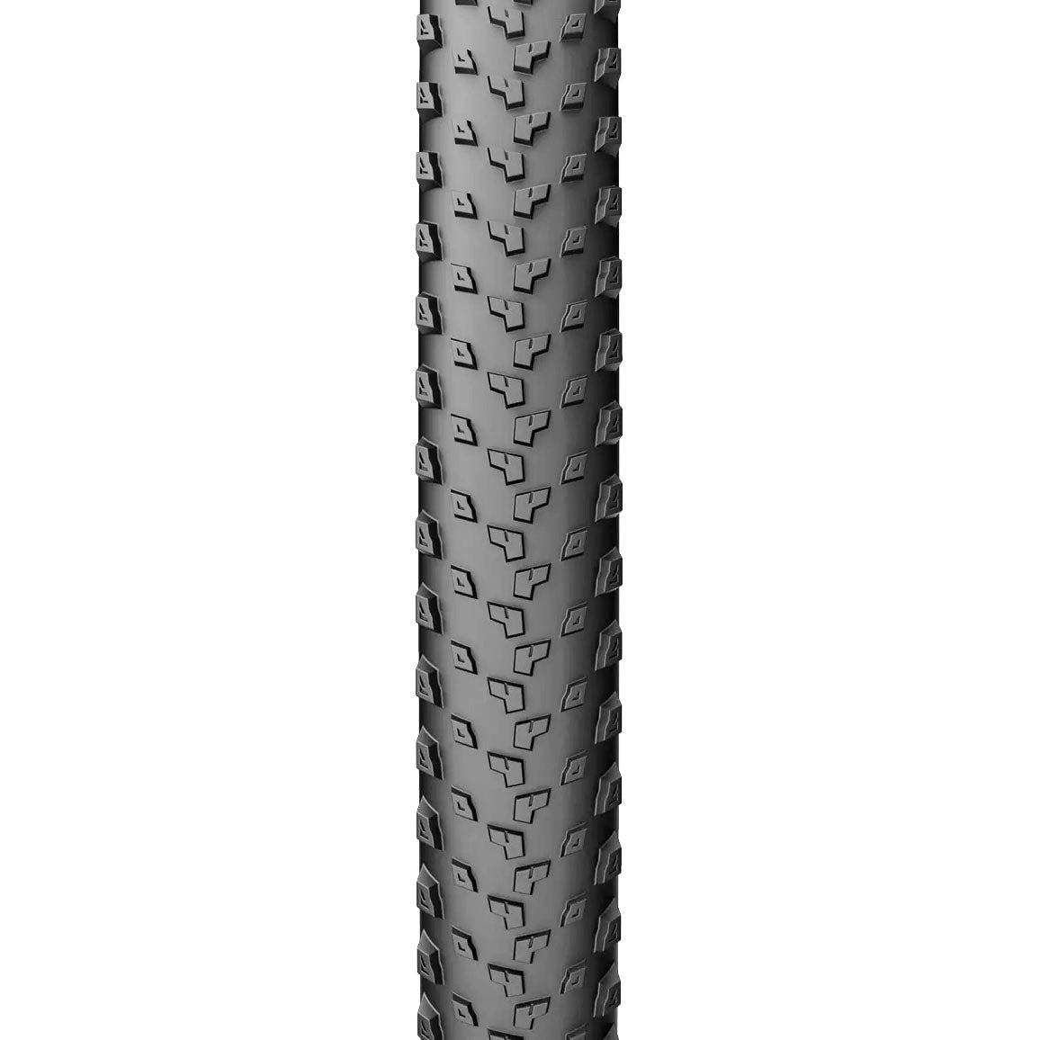PV4241b.jpg